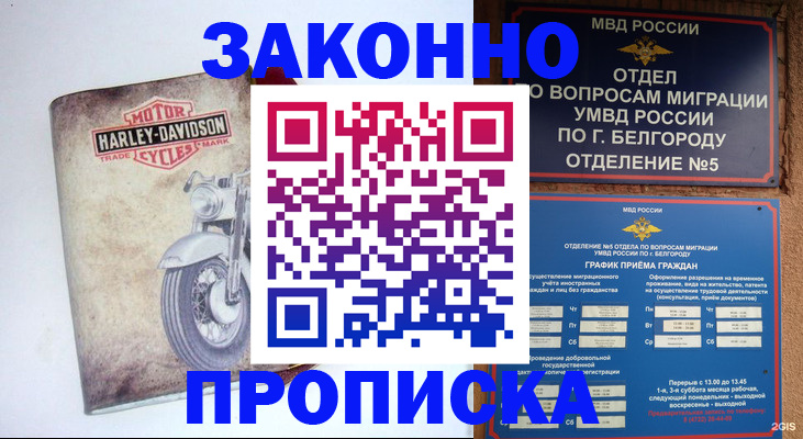 прописка для школы в Каменск-Шахтинском